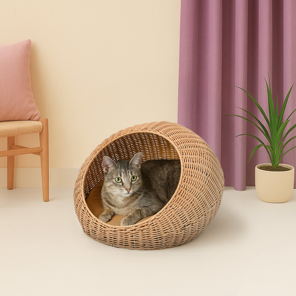 Fiora 19.5" x 18" Modern Circular Faux Wicker Pet Bed with Machine-Washable Cushion
