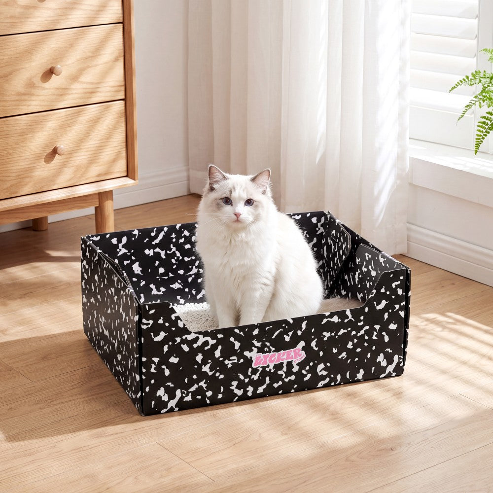 Pawsie 17" Modern Waterproof Disposable Cardboard Cat Litter Box with Scoop
