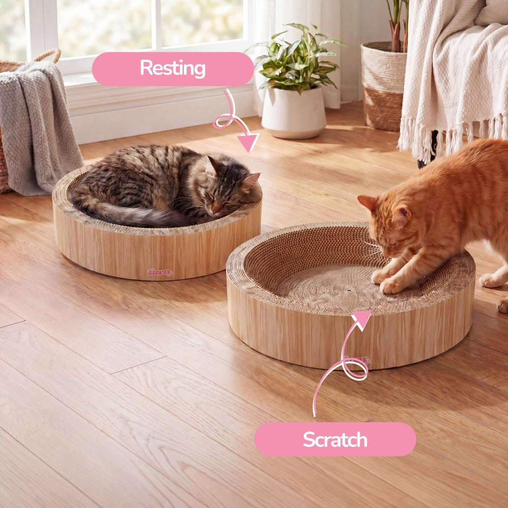 Daisy Cat Scratcher Set 2
