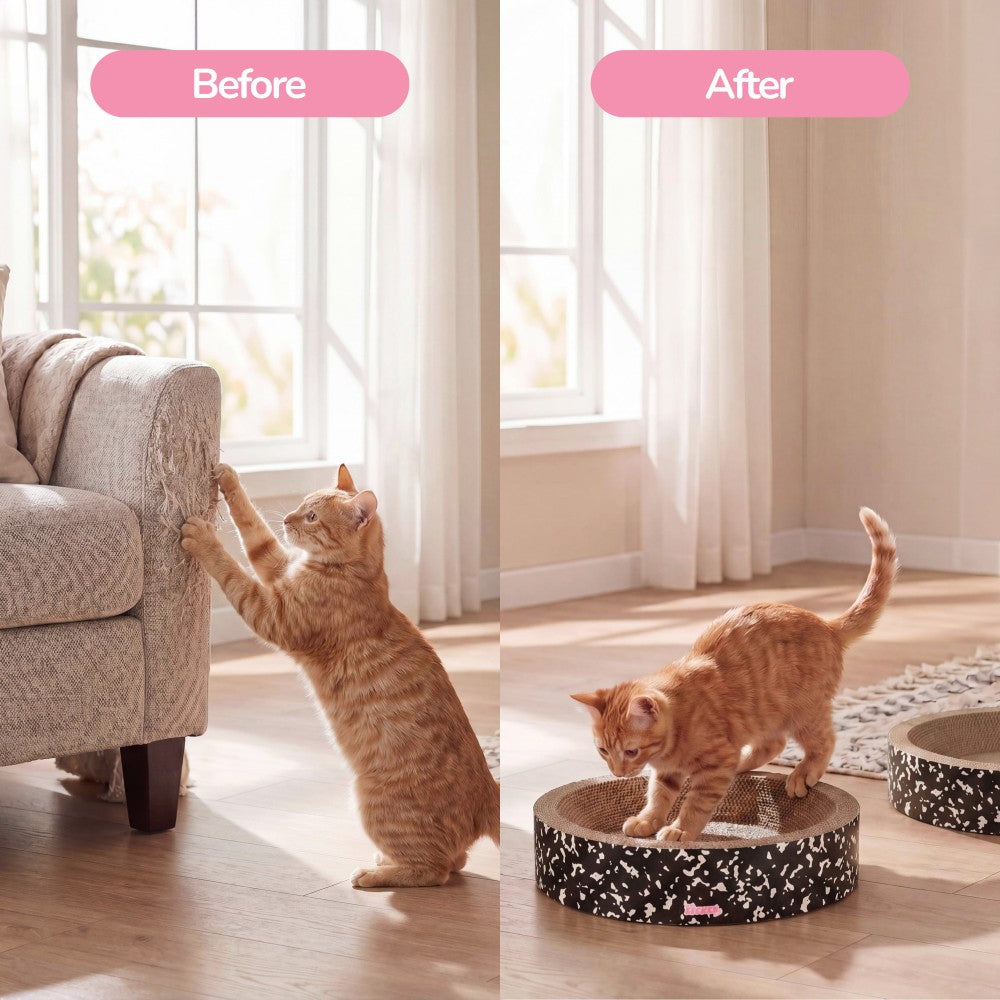 Daisy Cat Scratcher Set 2