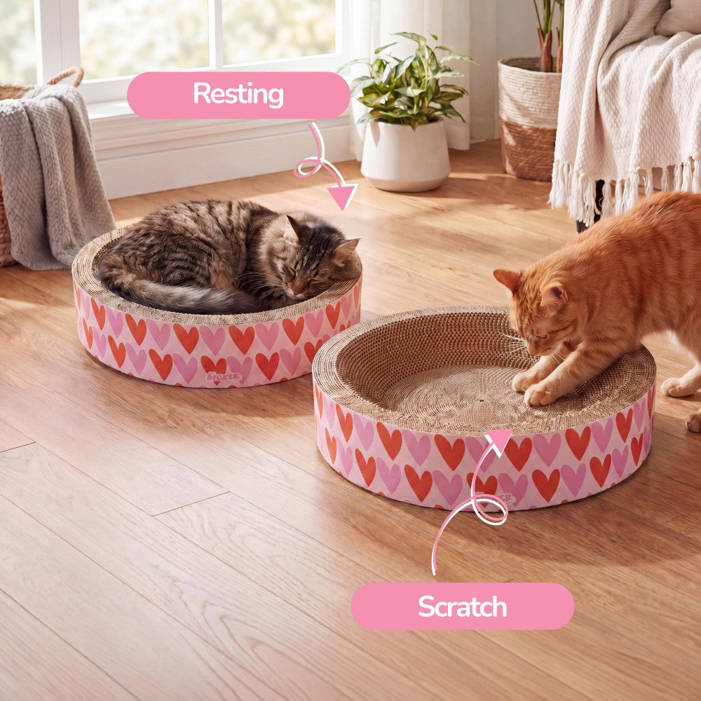 Daisy Cat Scratcher Set 2