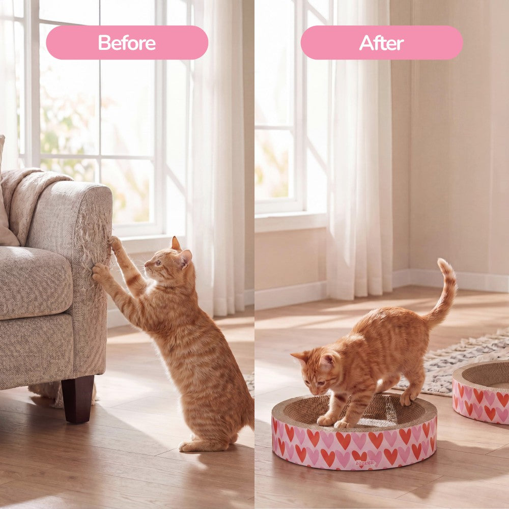 Daisy Cat Scratcher Set 2