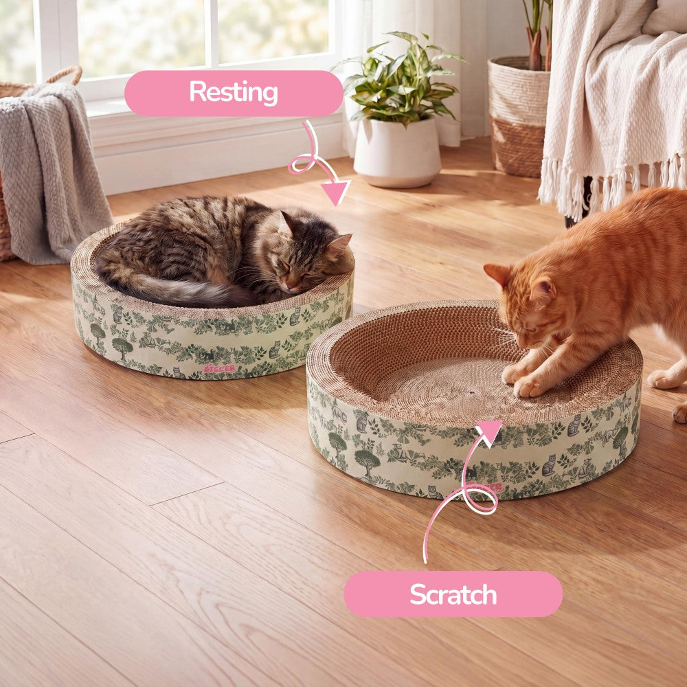 Daisy Cat Scratcher Set 2