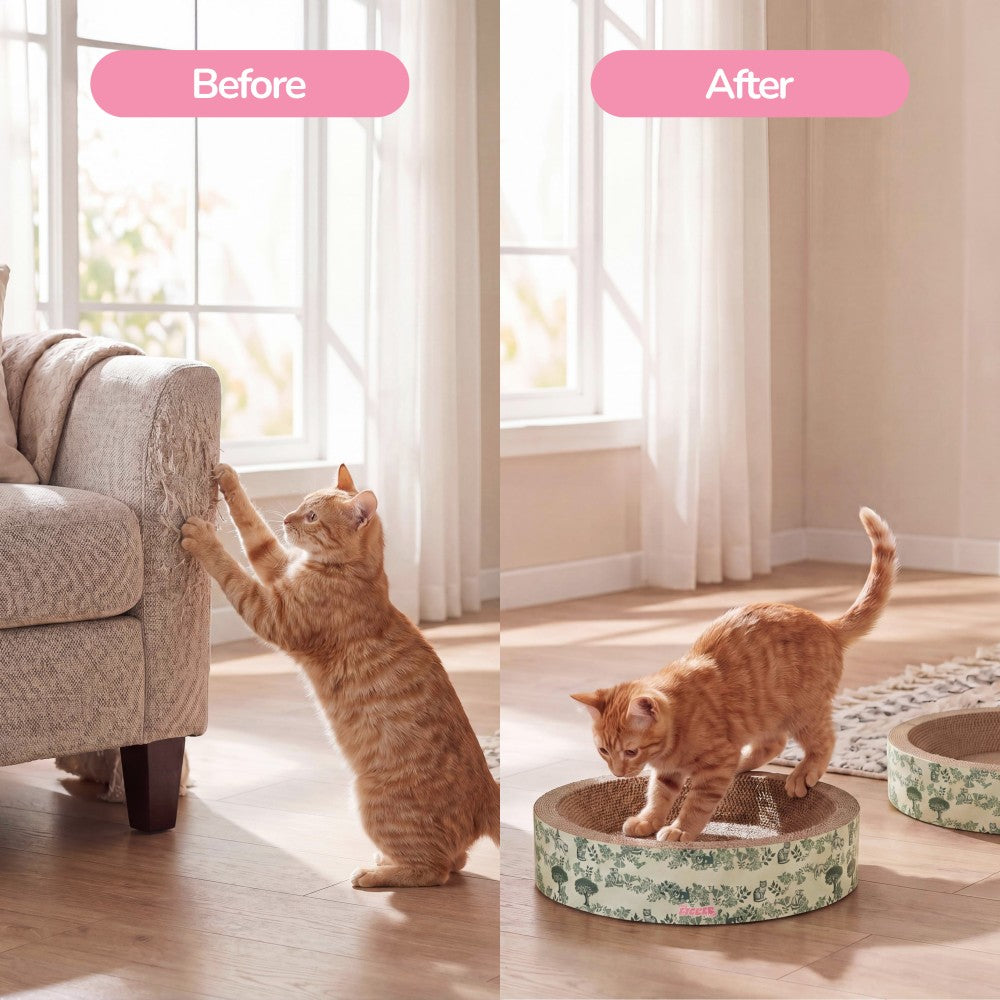 Daisy Cat Scratcher Set 2