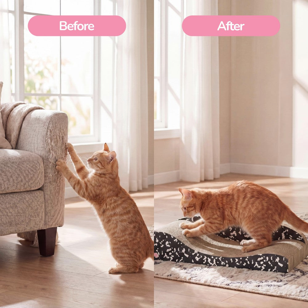 Kokomo Cat Scratcher
