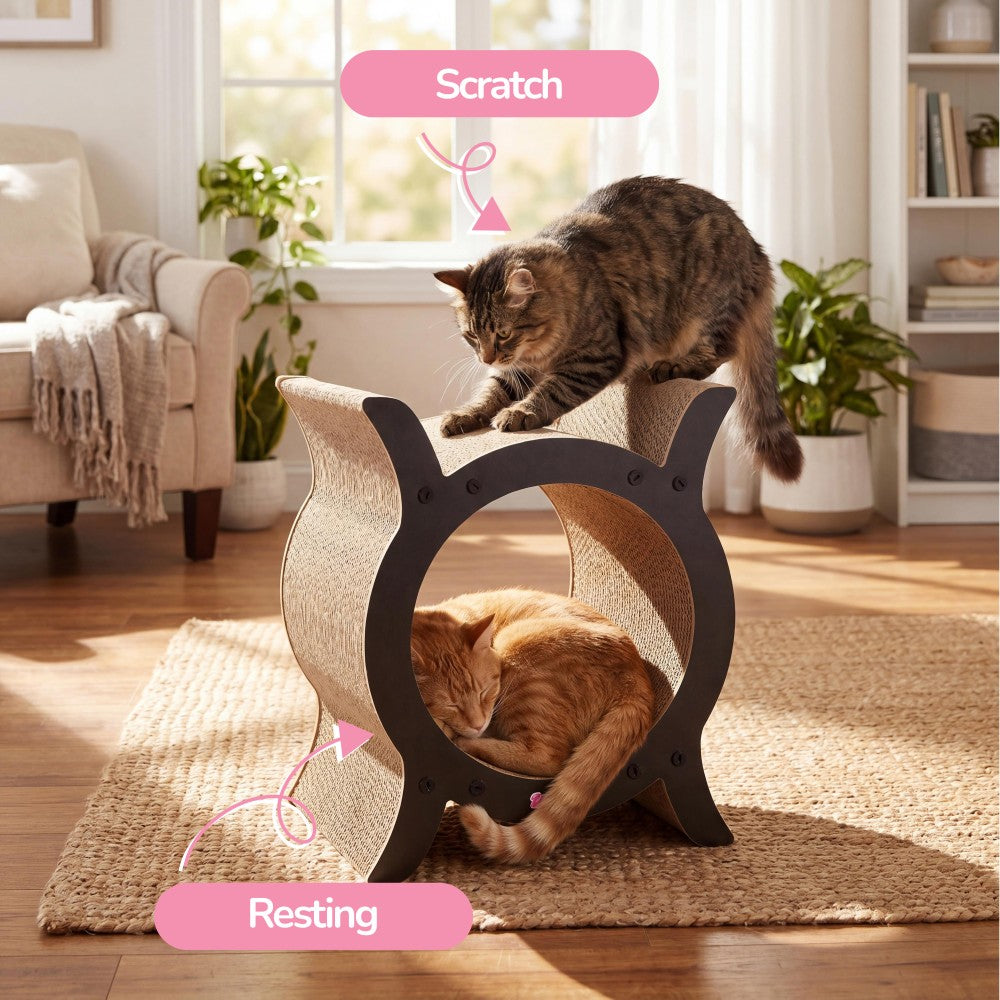 Nyan Cat Scratcher