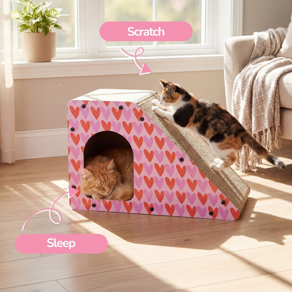 Kento Cat Scratcher