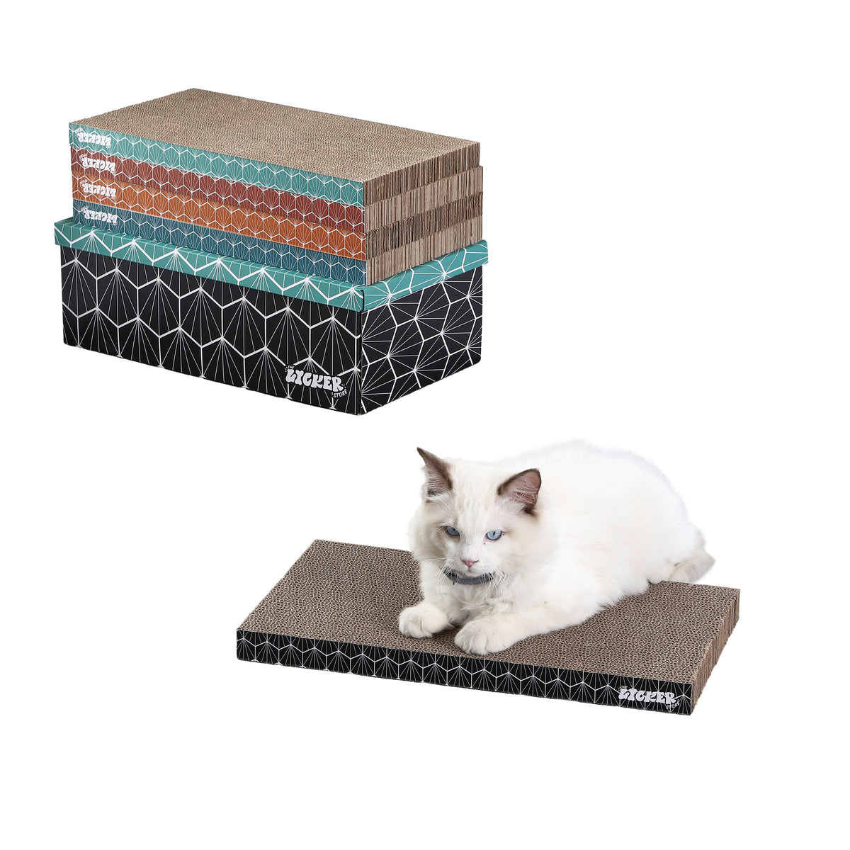Naomi Cat Scratcher