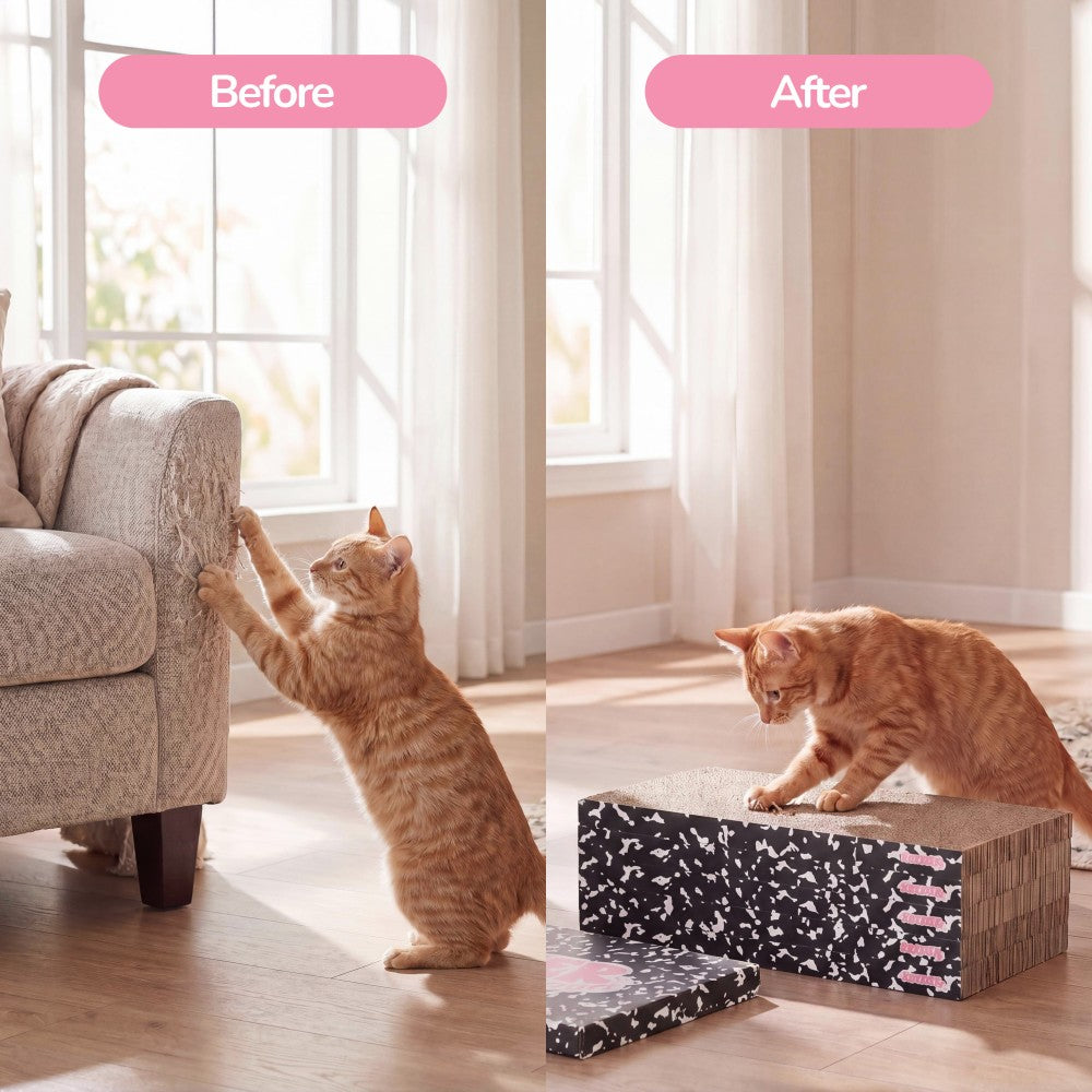 Naomi Cat Scratcher