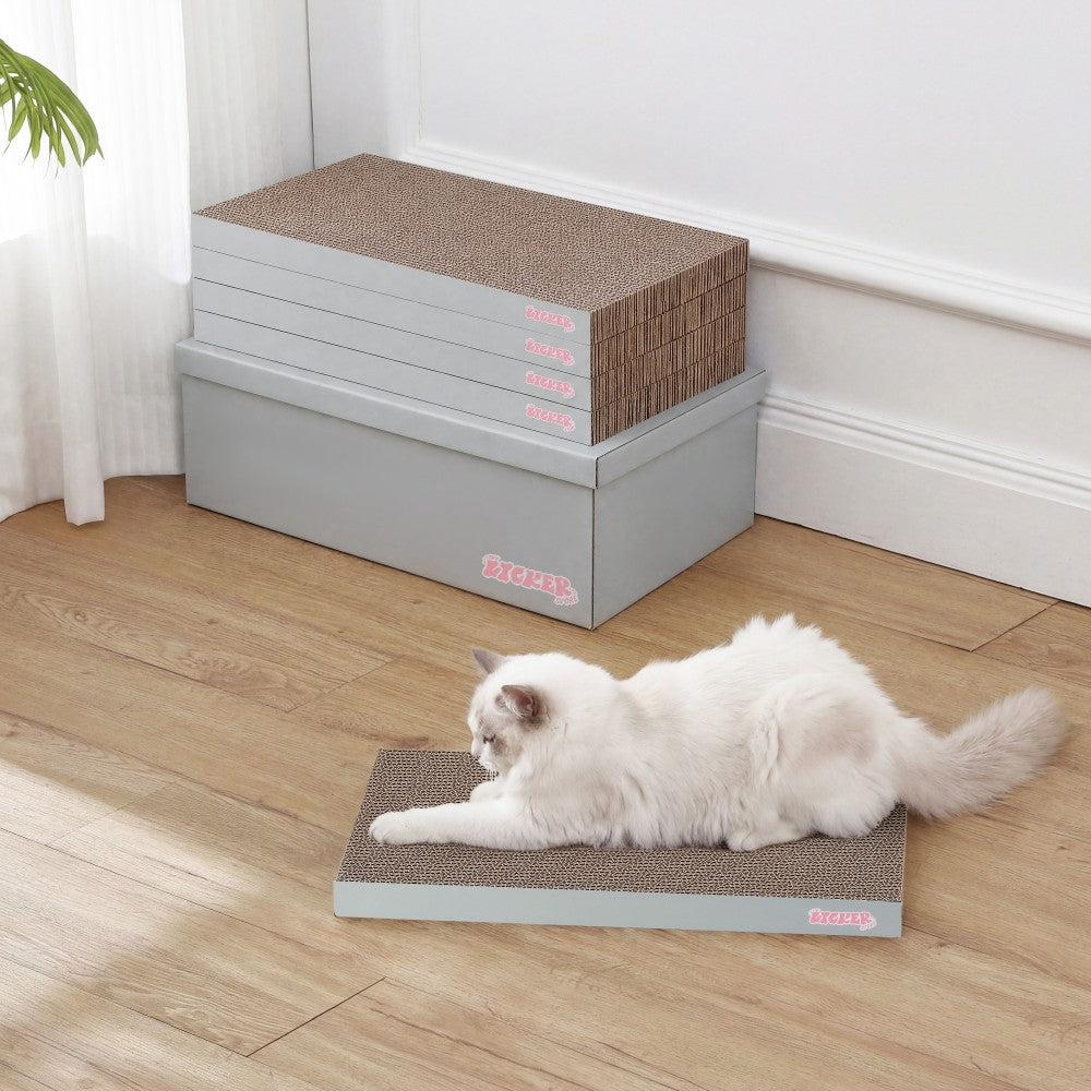 Naomi Cat Scratcher