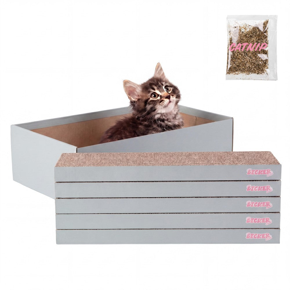 Naomi Cat Scratcher