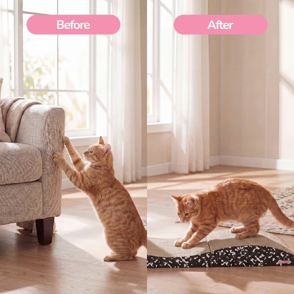 Eero Cat Scratcher