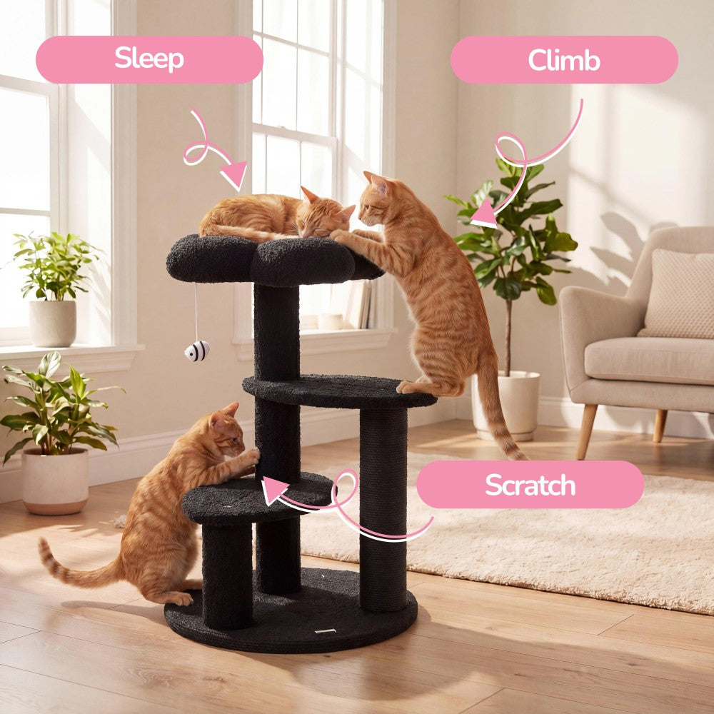 Poppy Cat Tree