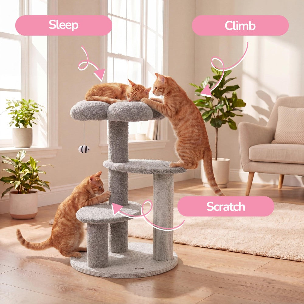 Poppy Cat Tree
