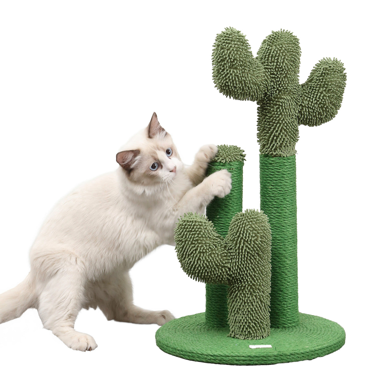 Marfa Cat Scratcher