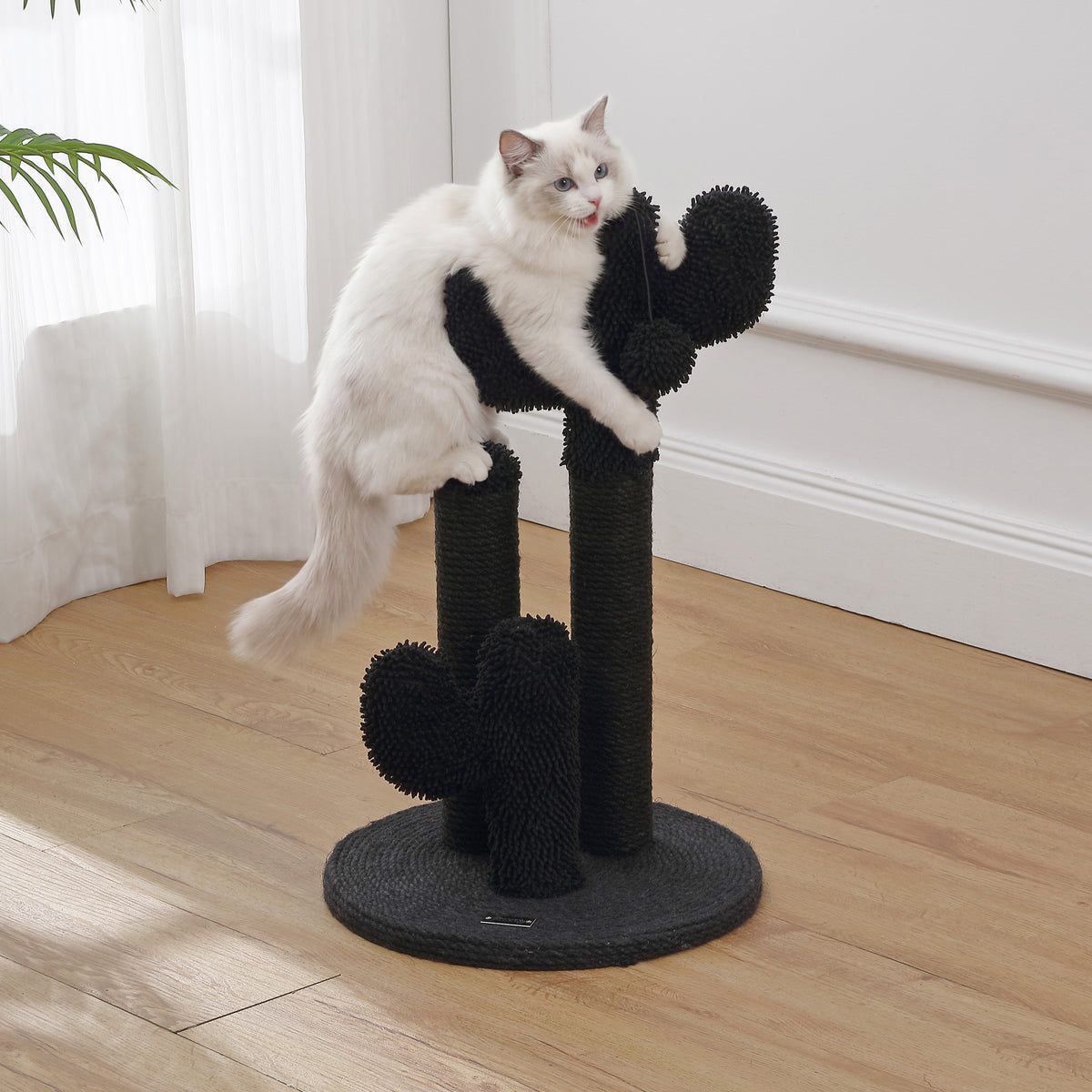 Marfa Cat Scratcher