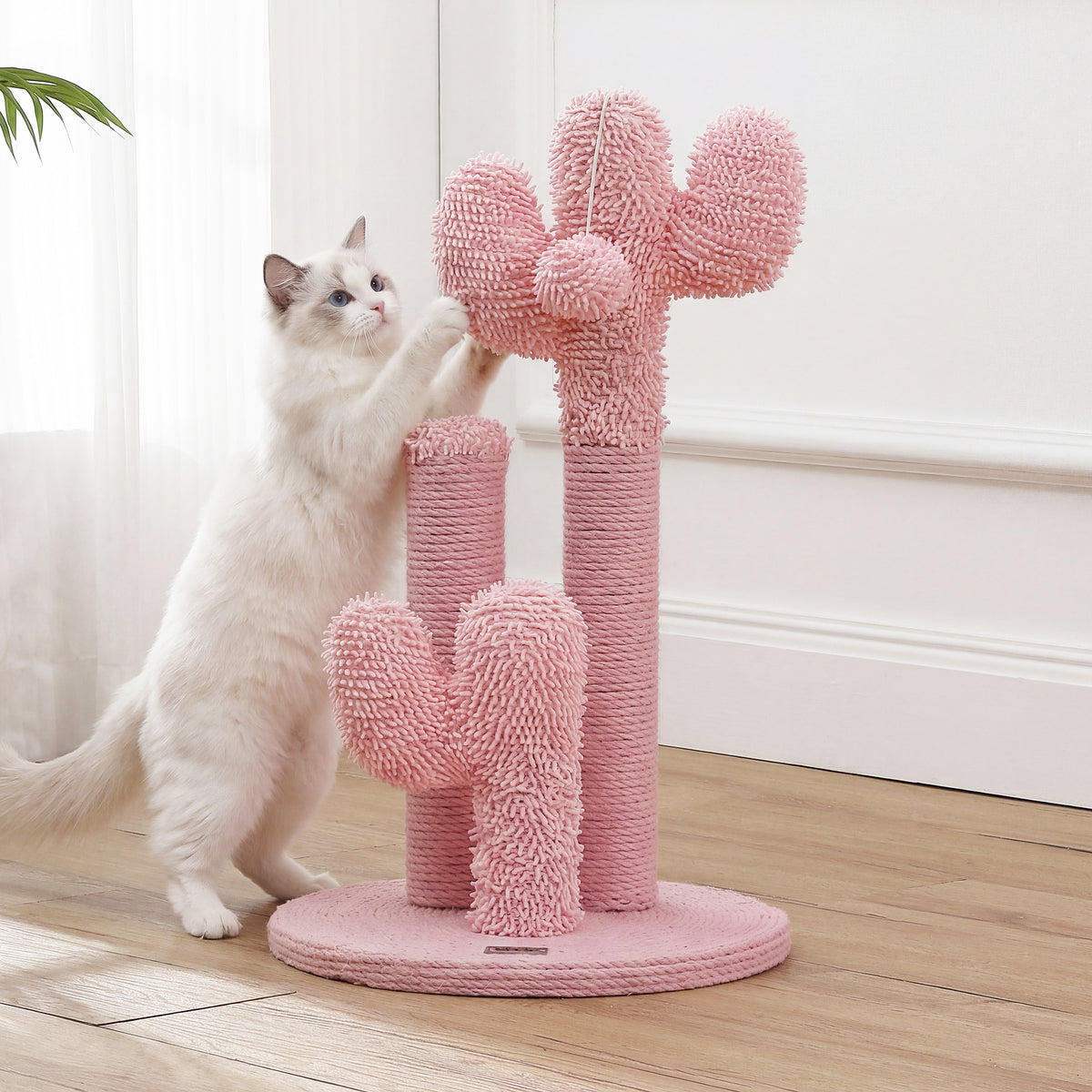 Marfa Cat Scratcher