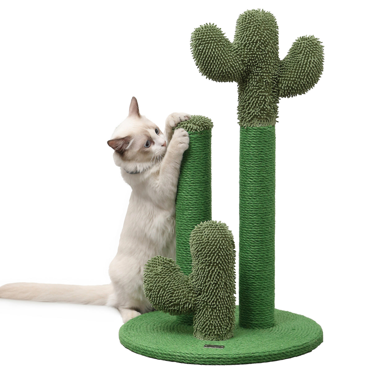 Marfa Cat Scratcher
