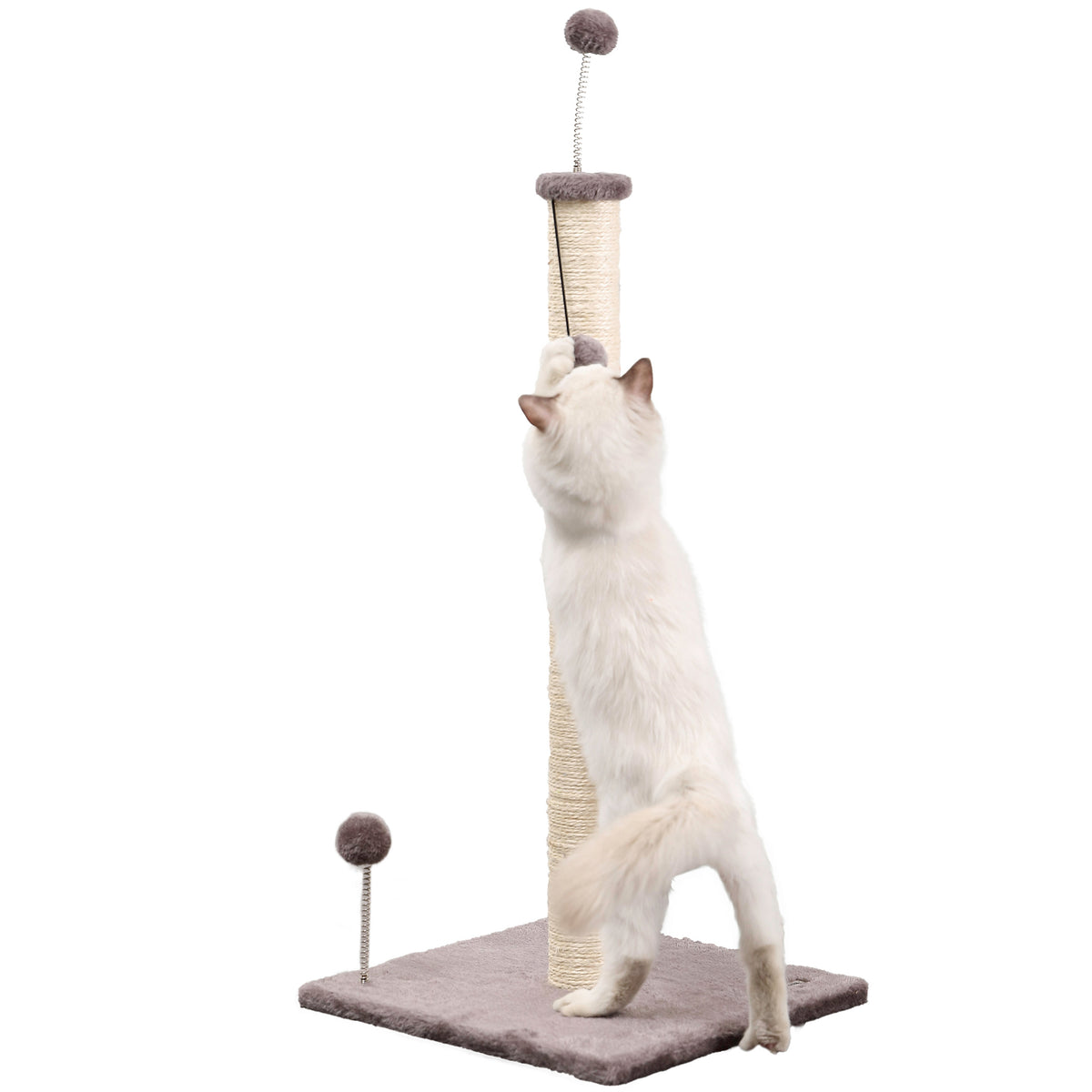 Rylie Cat Scratcher