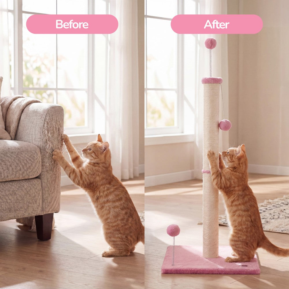 Rylie Cat Scratcher