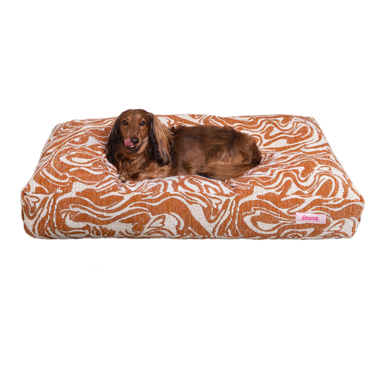 Maya Modern Pet Bed with Washable Cover