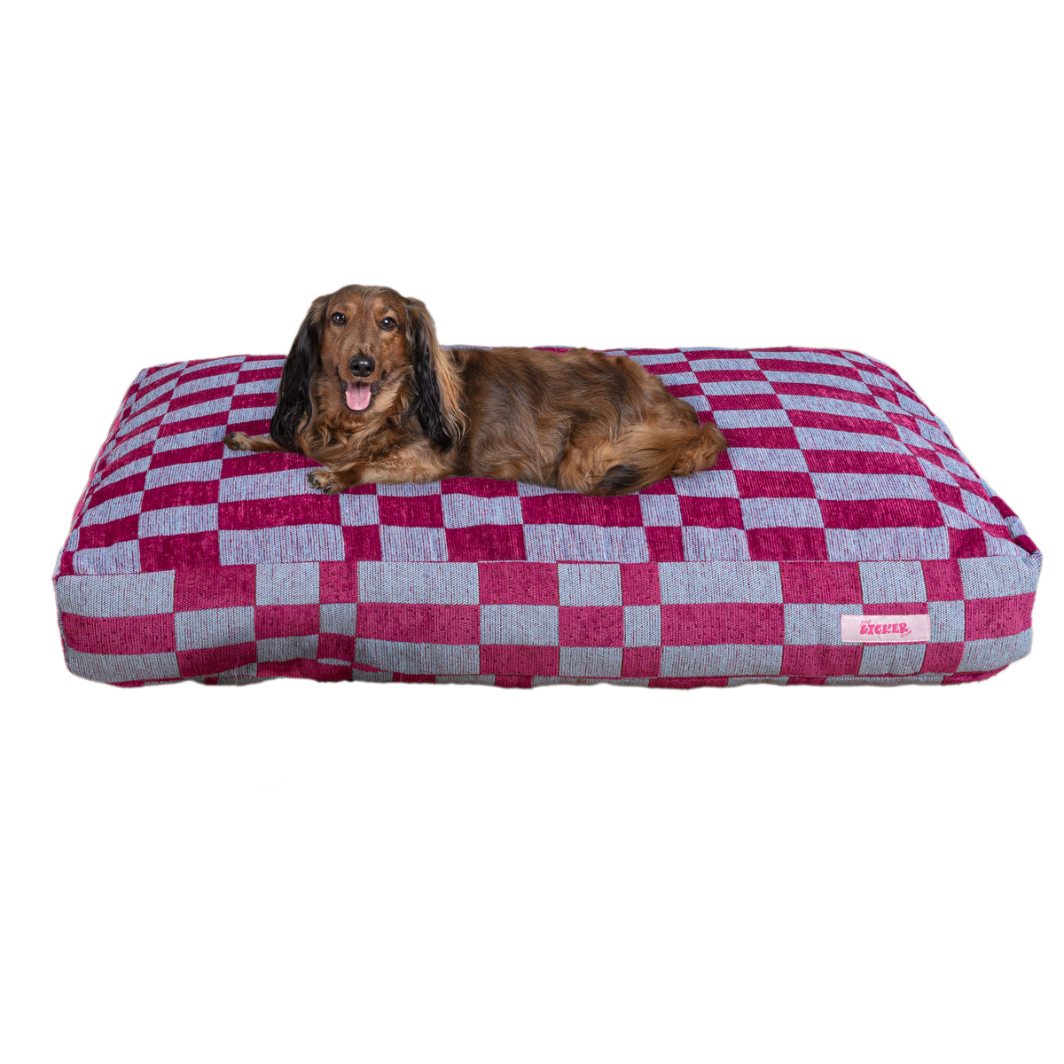 Maya Modern Pet Bed with Washable Cover