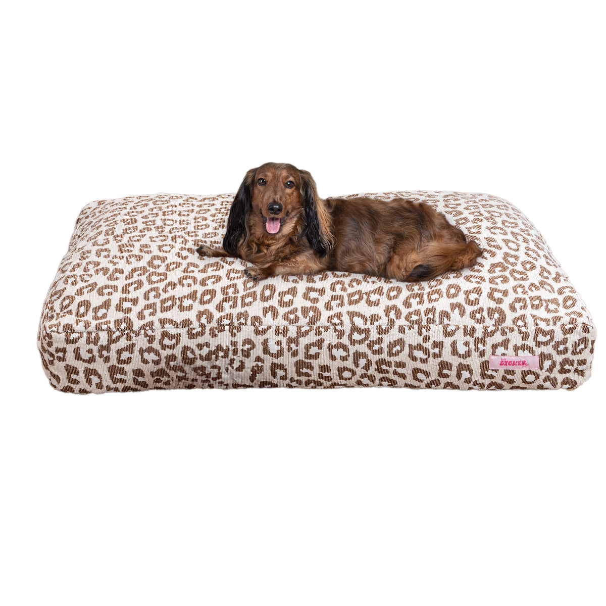 Maya Modern Pet Bed with Washable Cover