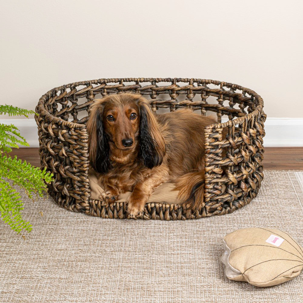 Giri 24" x 18" Modern Bohemian Handwoven Hyacinth Open-Weave Oval Pet Bed with Machine-Washable Cushion