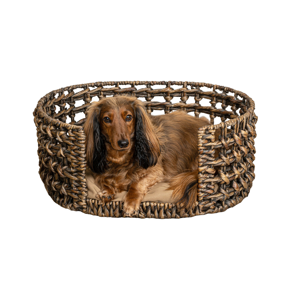 Giri 24" x 18" Modern Bohemian Handwoven Hyacinth Open-Weave Oval Pet Bed with Machine-Washable Cushion