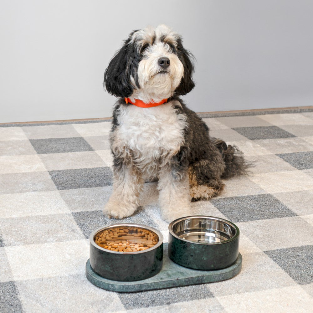 PinePaw Small/Medium Modern Weighted Double Marble and Stainless Steel Bowl 12oz (1.5 Cups) Feeder with Non-Slip Marble Tray Set