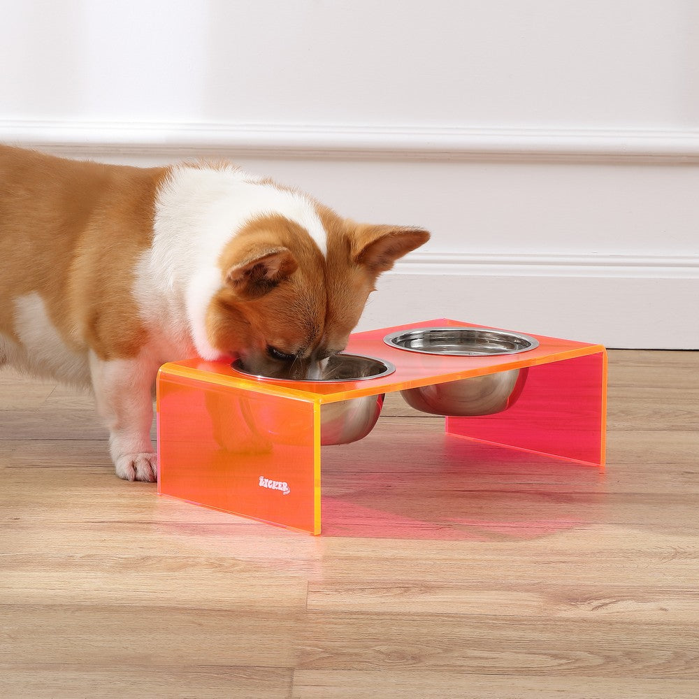 Keaton Dog Bowl