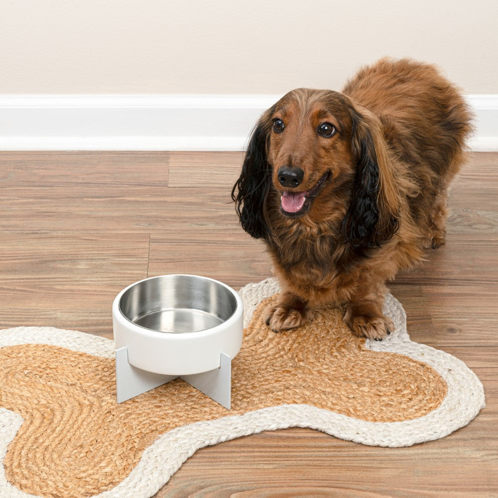LeafLick Small/Medium Concrete and Stainless Steel Bowl 16oz (2 Cups) with Metal Stand Pet Feeder