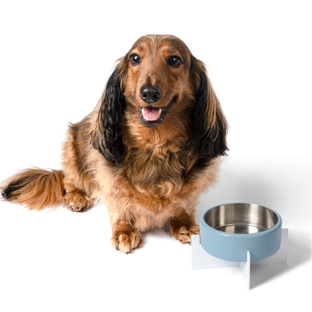 LeafLick Small/Medium Concrete and Stainless Steel Bowl 16oz (2 Cups) with Metal Stand Pet Feeder
