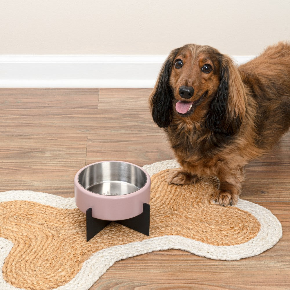 LeafLick Small/Medium Concrete and Stainless Steel Bowl 16oz (2 Cups) with Metal Stand Pet Feeder