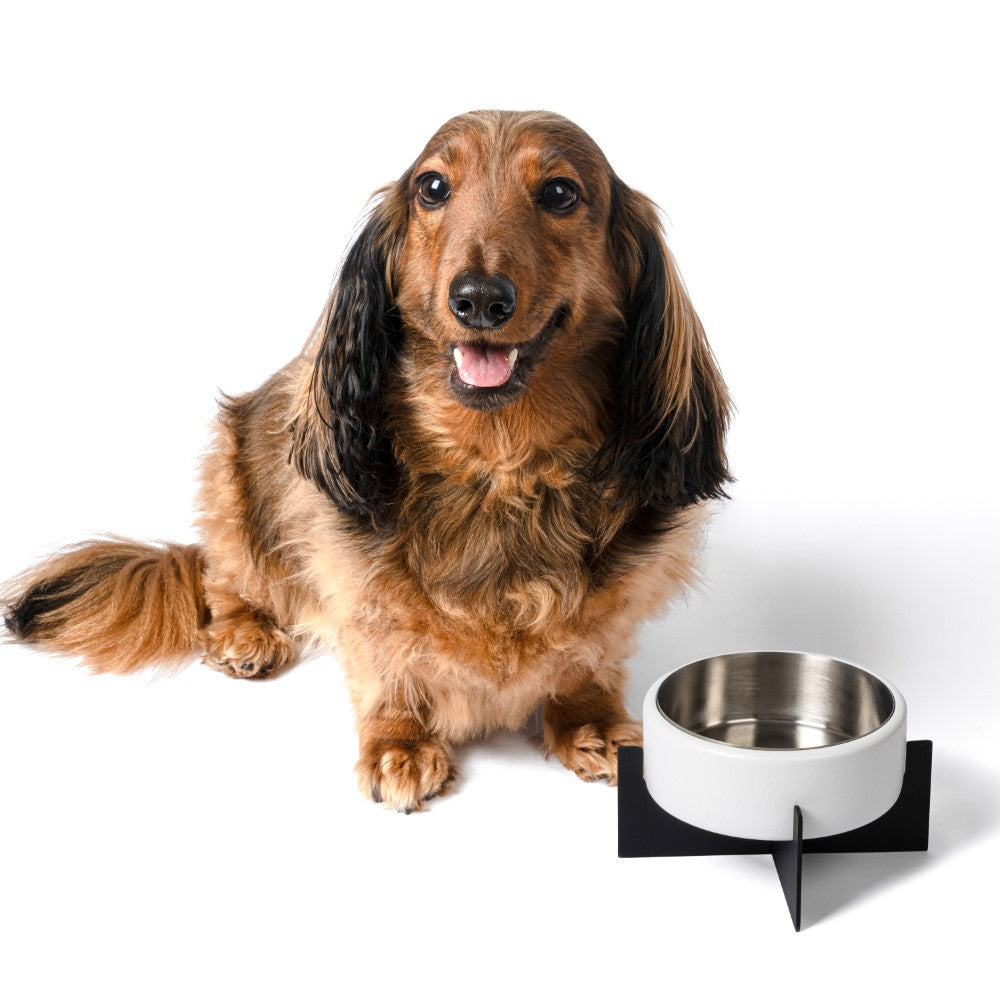 LeafLick Small/Medium Concrete and Stainless Steel Bowl 16oz (2 Cups) with Metal Stand Pet Feeder