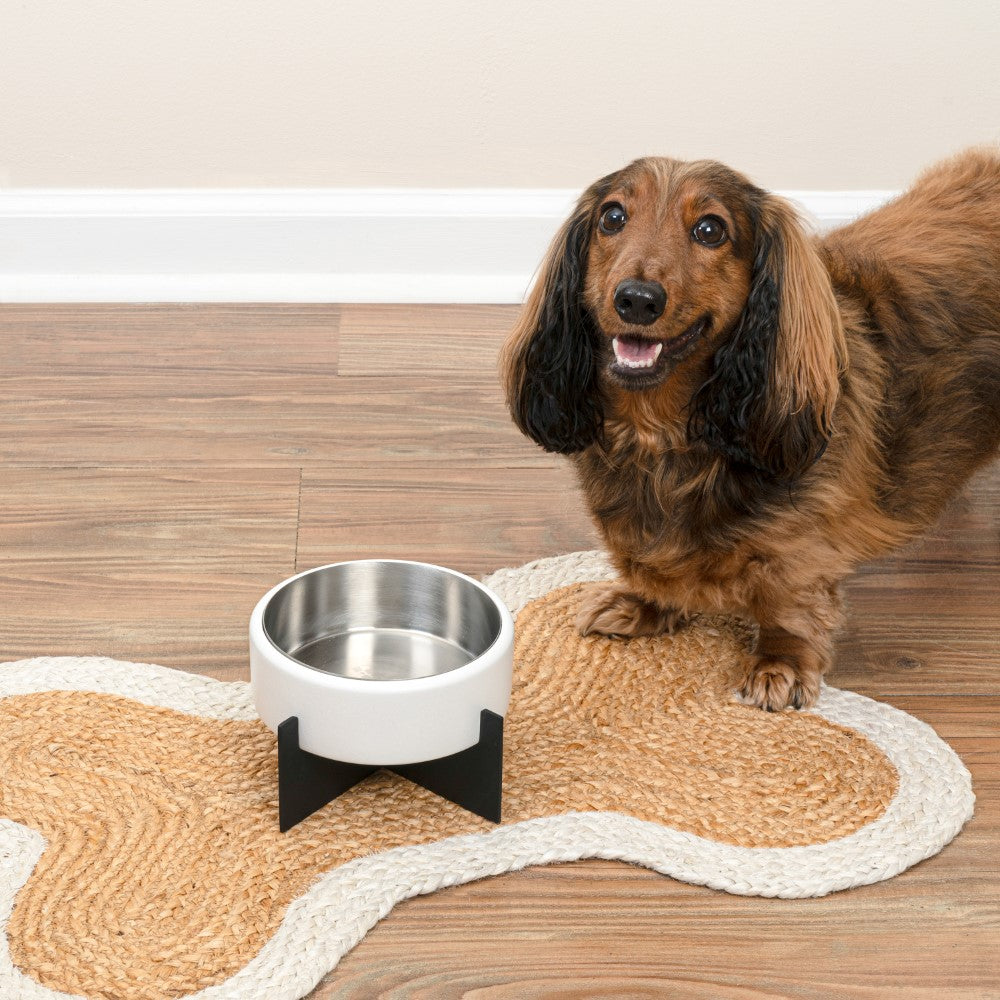 LeafLick Small/Medium Concrete and Stainless Steel Bowl 16oz (2 Cups) with Metal Stand Pet Feeder