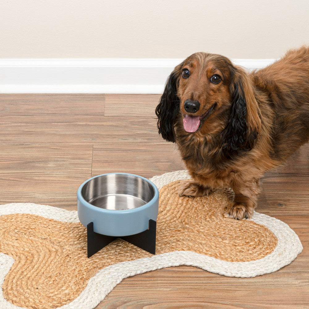 LeafLick Small/Medium Concrete and Stainless Steel Bowl 16oz (2 Cups) with Metal Stand Pet Feeder