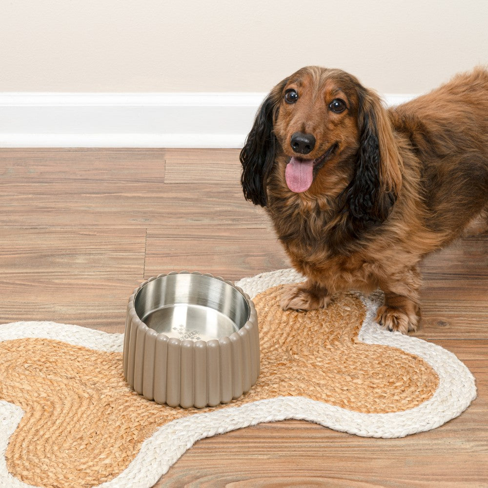 RiverTail Ridge Small/Medium Slanted Concrete and Stainless Steel Bowl 16oz (2 Cups) Pet Feeder