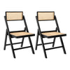 Black (Set of 2)