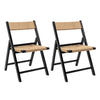 Black (Set of 2)