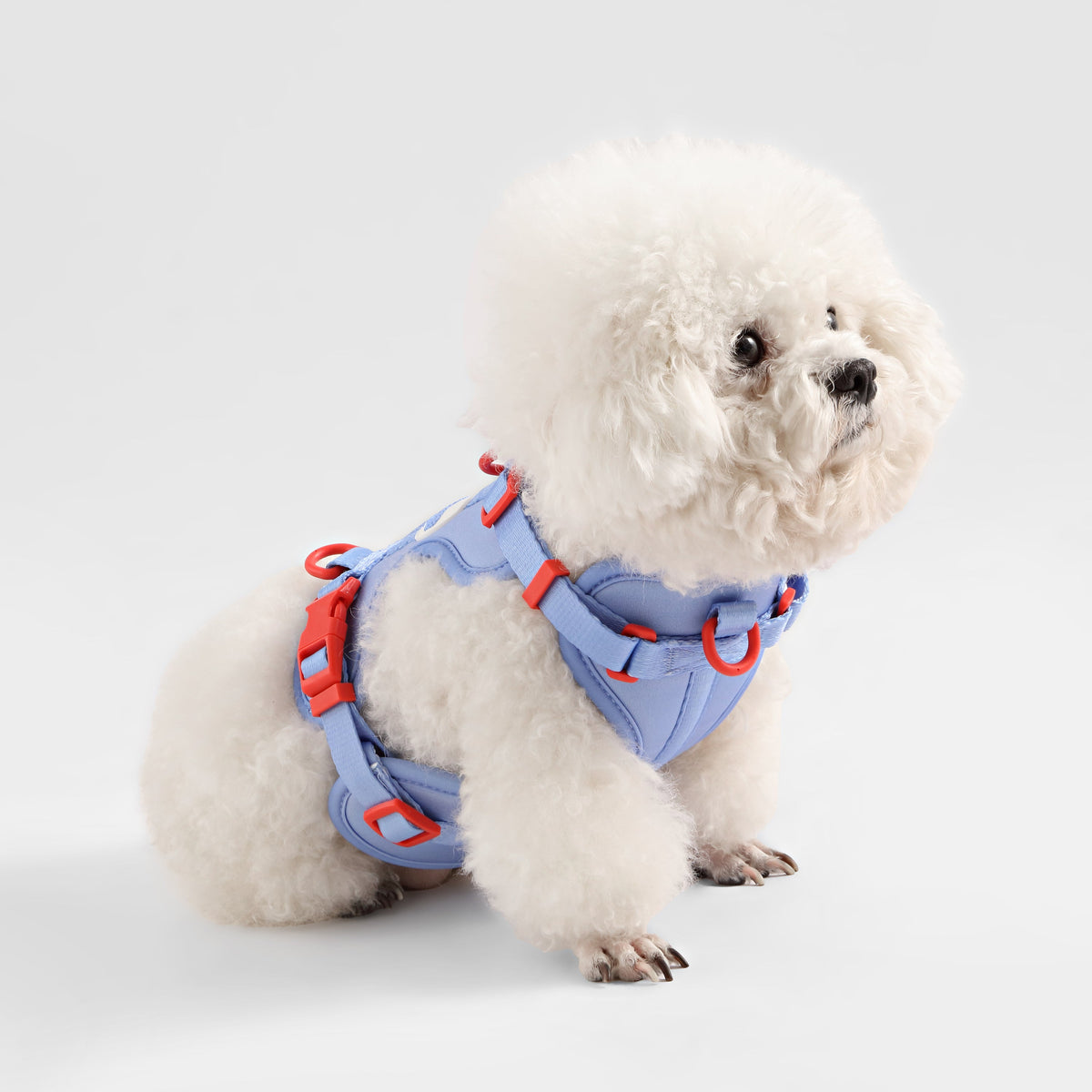 Arlo Adjustable No Pull Pet Harness