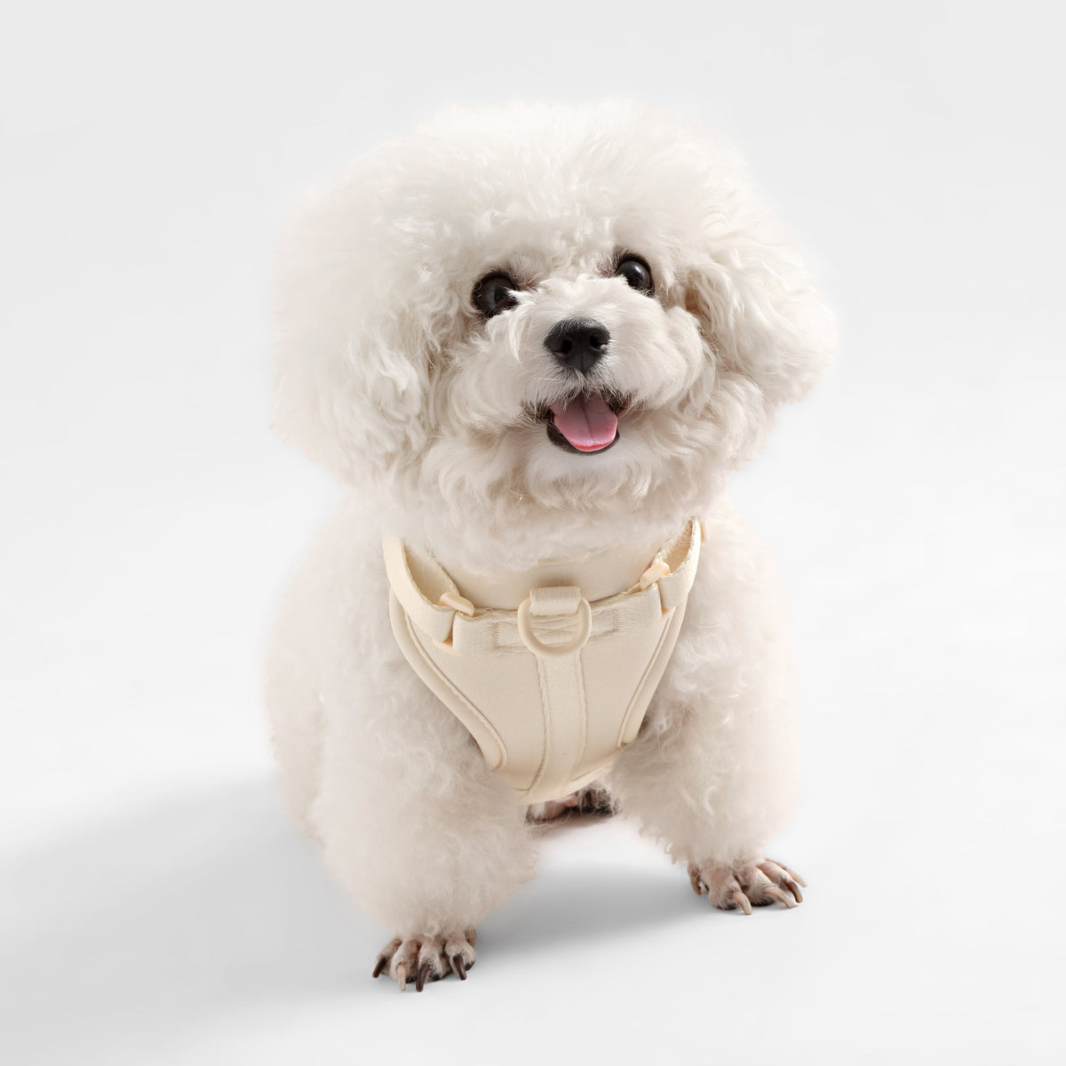 Arlo Adjustable No Pull Pet Harness