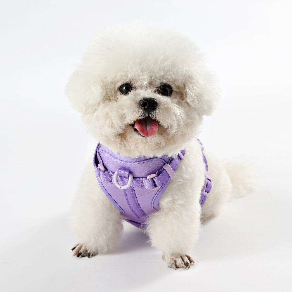 Arlo Adjustable No Pull Pet Harness