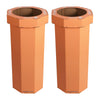 Carrot Cake (Set of 2)