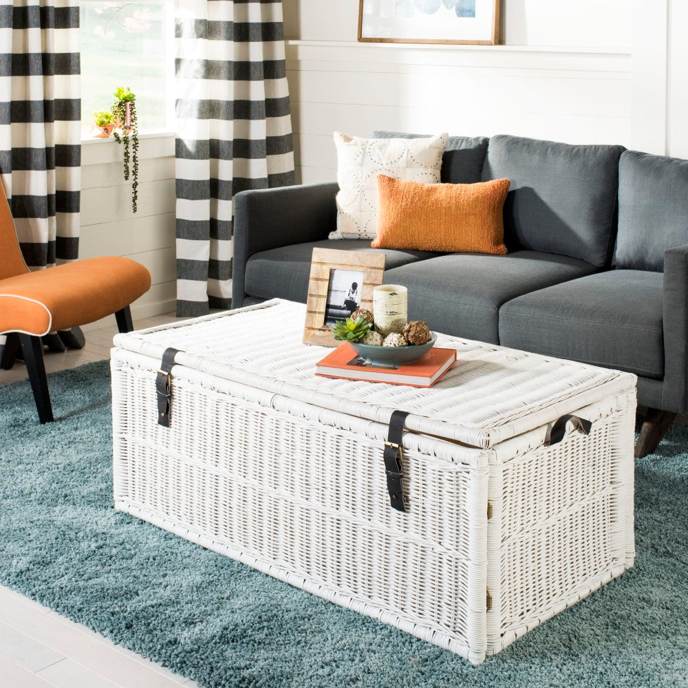 Caden 46'' Wicker Storage Trunk