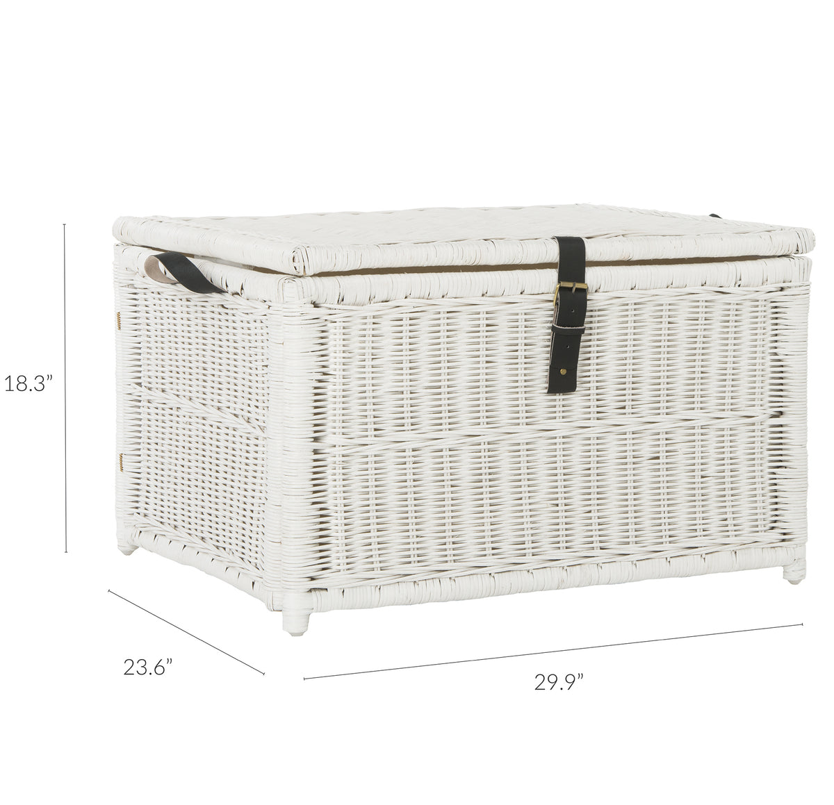 Caden 30'' Wicker Storage Trunk