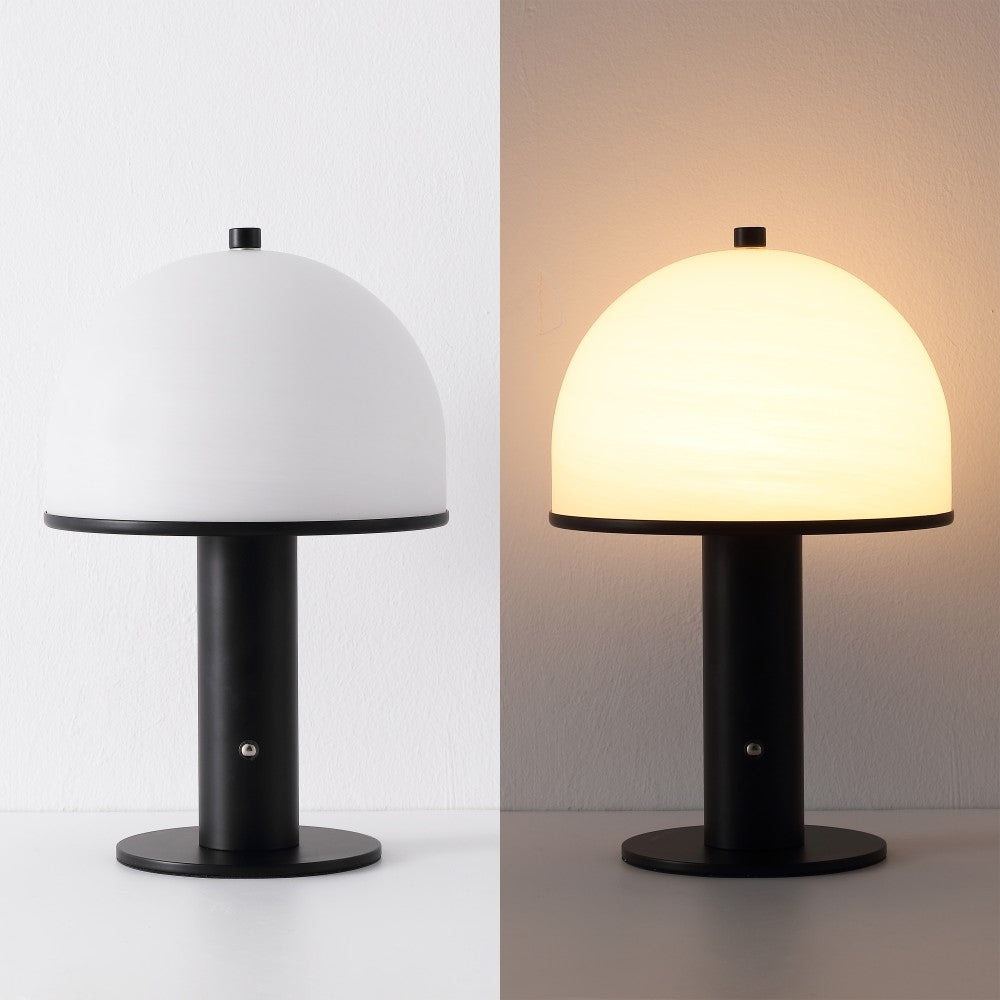 Wildwood 12.3 in. Modern Metal Rechargeable Integrated Dimmable LED Table Lamp with Touch Sensor