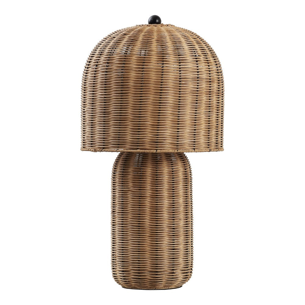 Falcon 22.5" Modern Coastal Woven Rattan Arched LED Table Lamp