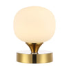 Brass Gold/White