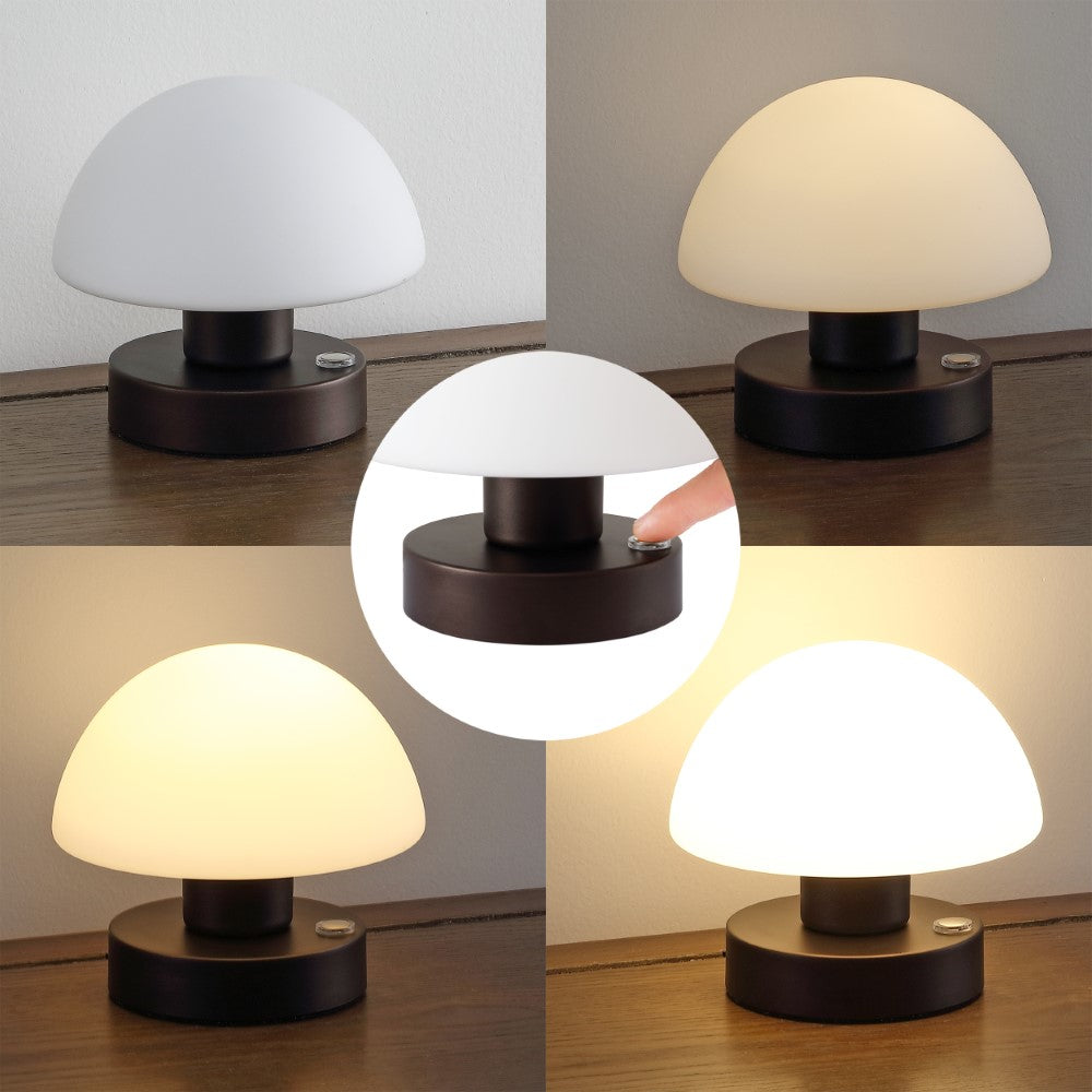 Modern mushroom 5.75" Bohemian Farmhouse Iron Rechargeable Integrated LED Table Lamp
